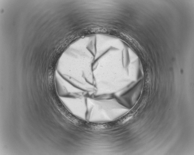 X0000059060513200511041732