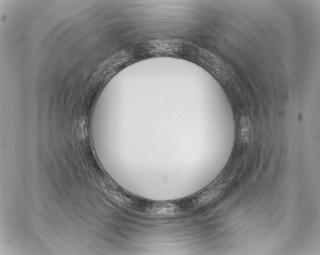 X0000059060514200511041732