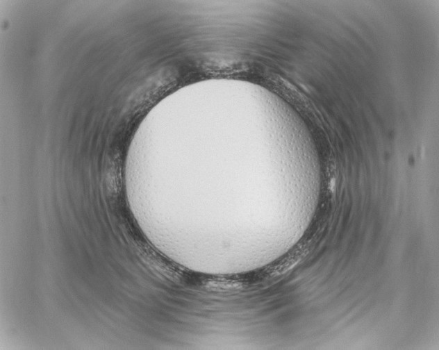 X0000059060515200511041732