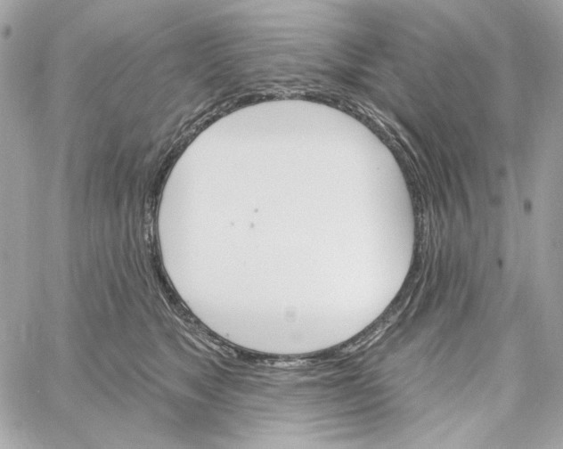 X0000059060517200511041732