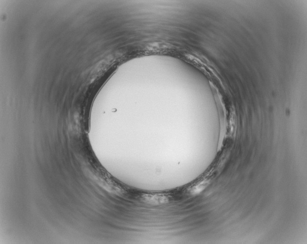 X0000059060520200511041732