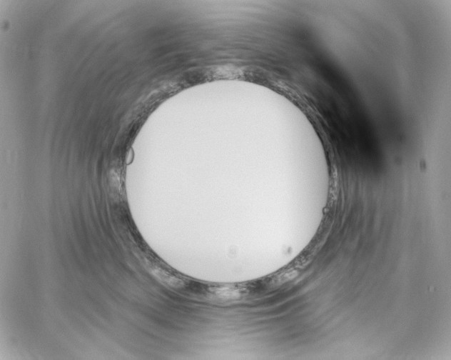 X0000059060522200511041732