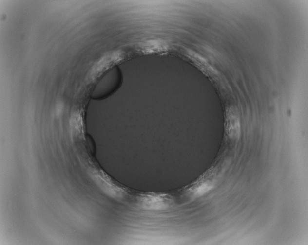 X0000059060523200511041732