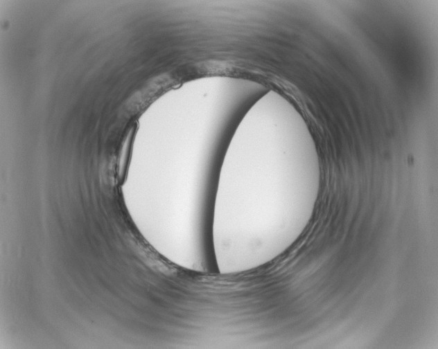 X0000059060525200511041732