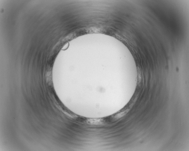 X0000059060526200511041732