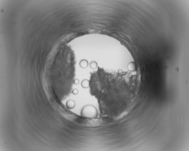 X0000059060527200511041732