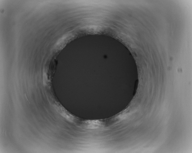 X0000059060528200511041732