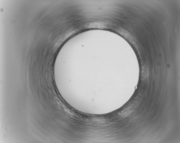 X0000059060529200511041731