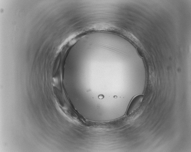 X0000059060530200511041731