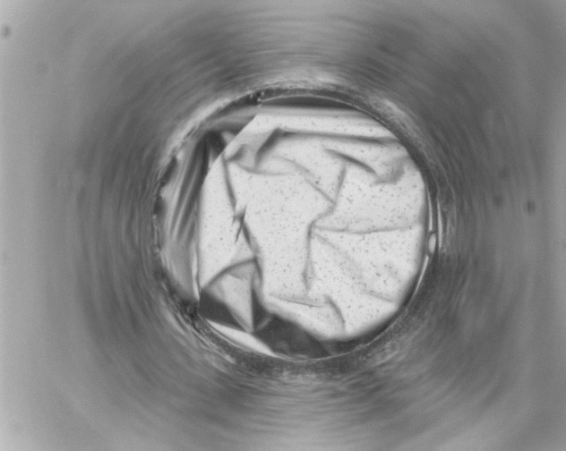 X0000059060531200511041731