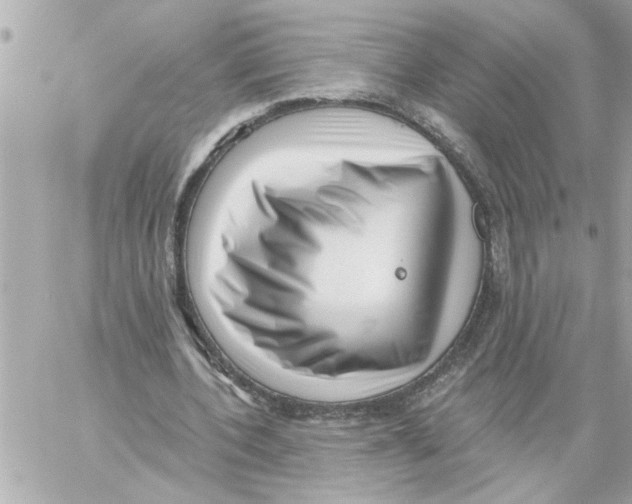 X0000059060532200511041731