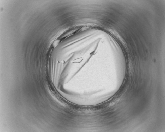 X0000059060533200511041731