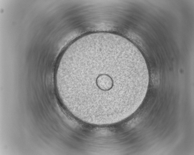 X0000059060534200511041731