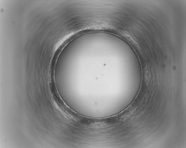 X0000059060536200511041731