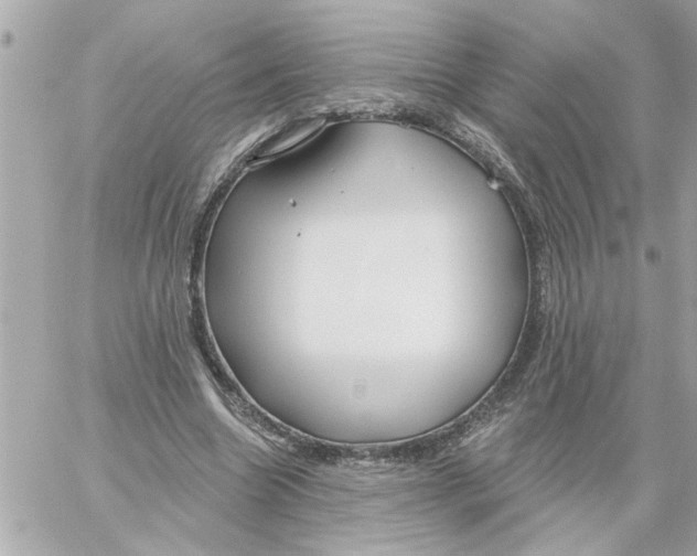 X0000059060538200511041731