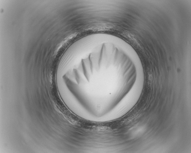 X0000059060539200511041731