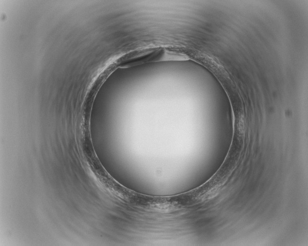 X0000059060540200511041731