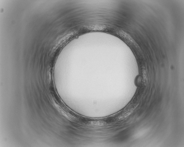 X0000059060541200511041731