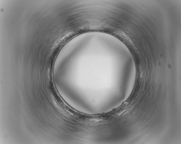 X0000059060542200511041731