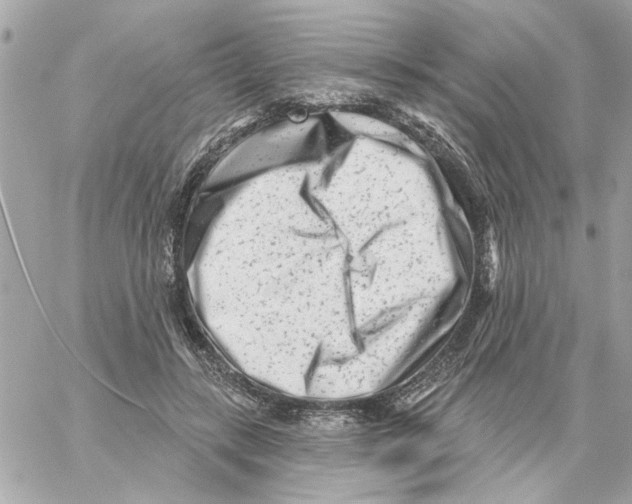 X0000059060547200511041731