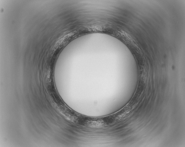 X0000059060548200511041731