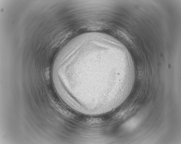 X0000059060549200511041731