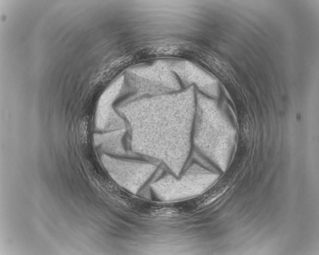 X0000059060551200511041731