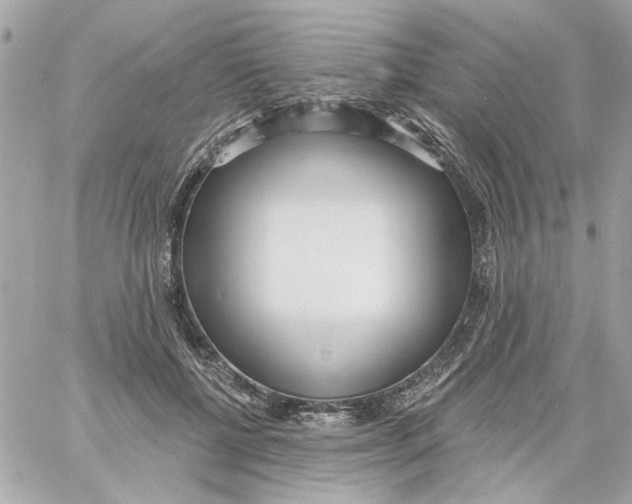 X0000059060552200511041731