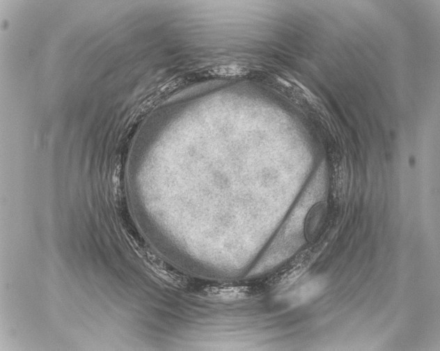 X0000059060553200511041731