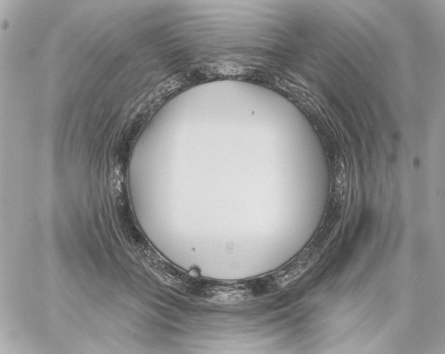 X0000059060555200511041731