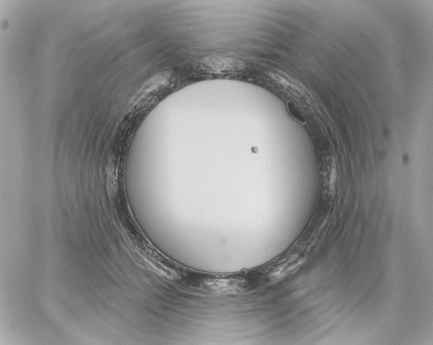 X0000059060558200511041731