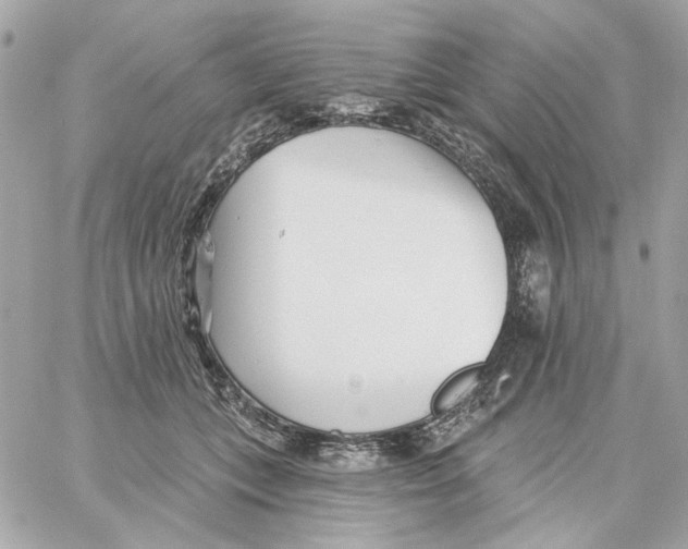 X0000059060559200511041731