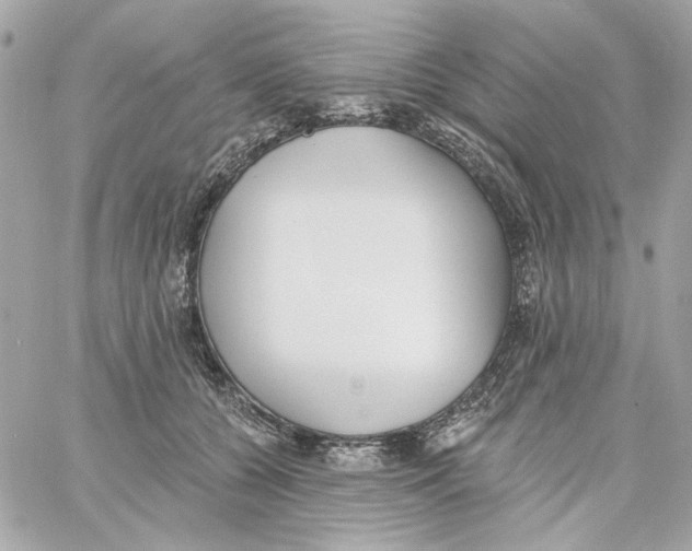 X0000059060560200511041731