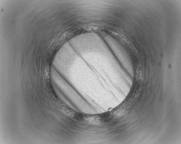 X0000059060561200511041731