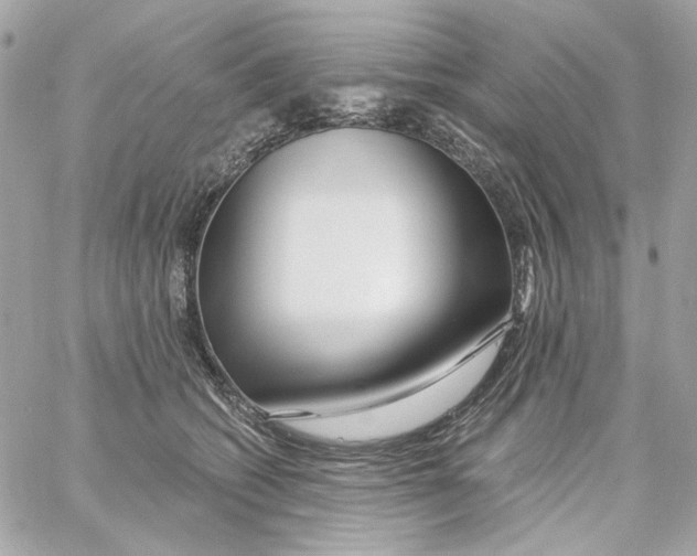 X0000059060562200511041731