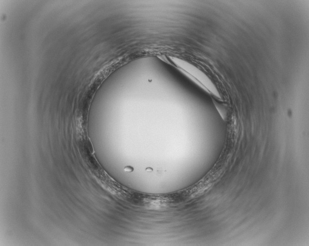 X0000059060564200511041731