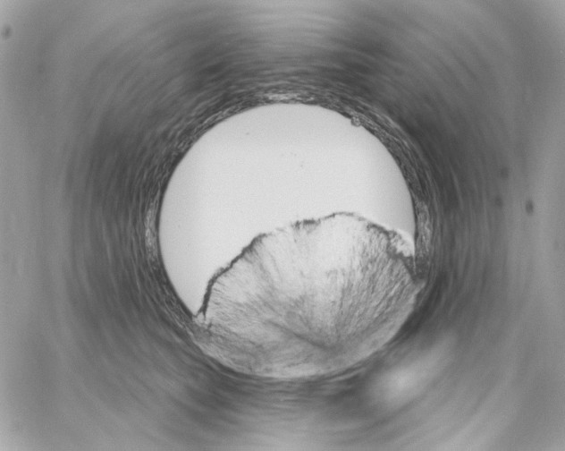 X0000059060565200511041731