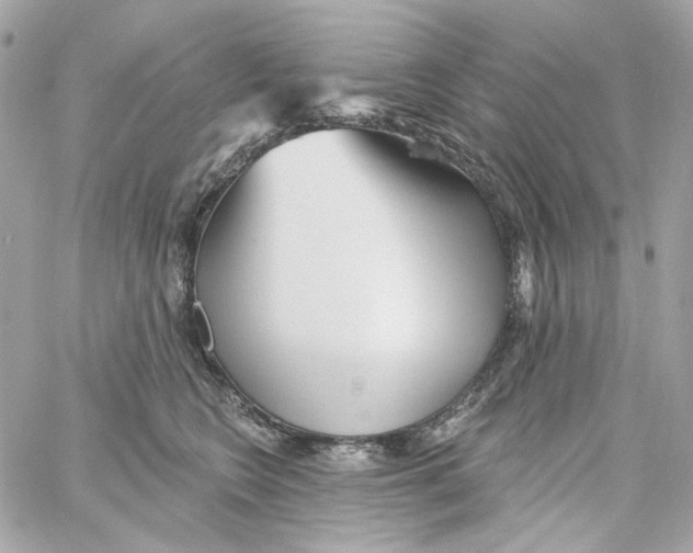 X0000059060566200511041731