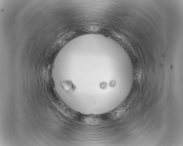 X0000059060568200511041731