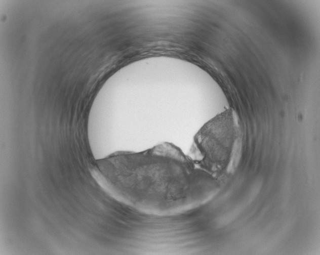 X0000059060573200511041732