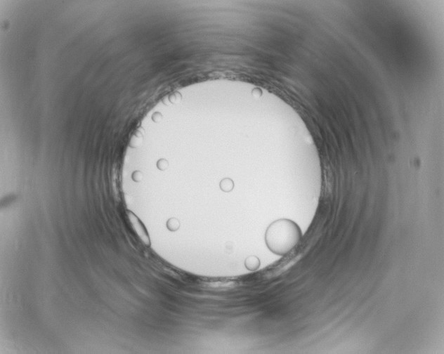 X0000059060575200511041732