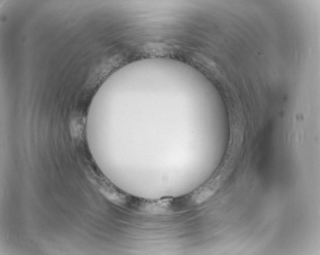 X0000059060576200511041732