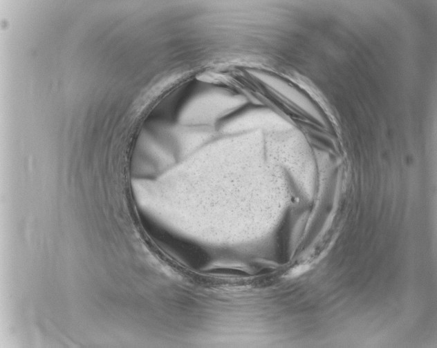 X0000059060577200511041731