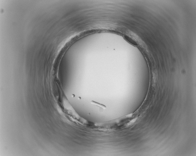 X0000059060580200511041731