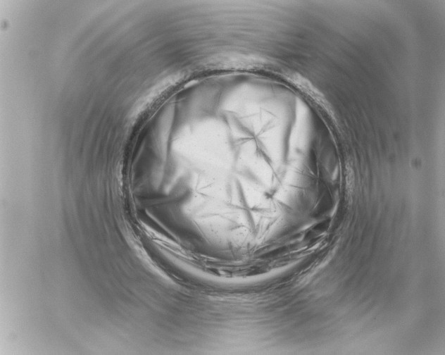 X0000059060581200511041731