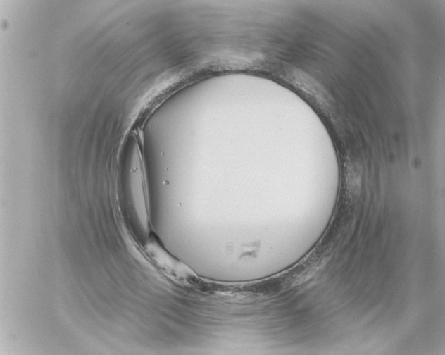 X0000059060582200511041731