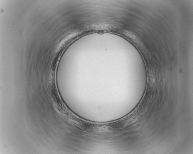 X0000059060583200511041731