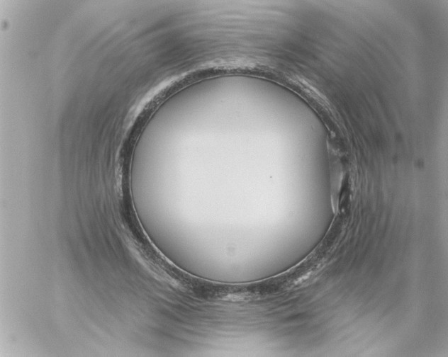 X0000059060584200511041731