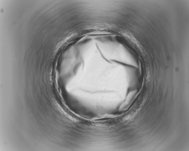 X0000059060585200511041731