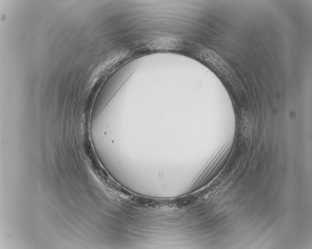 X0000059060586200511041731